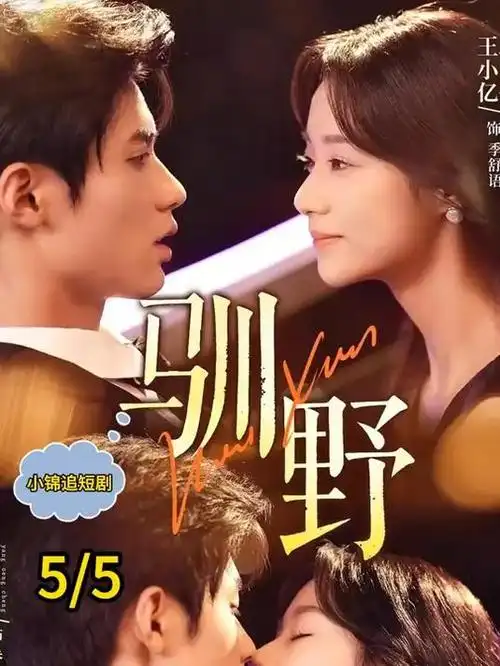 山河故人录 热播电视剧全集在线观看